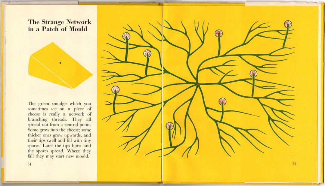 marie_neurath_picturing_science_house_of_illustration_itsnicethat22.jpg
