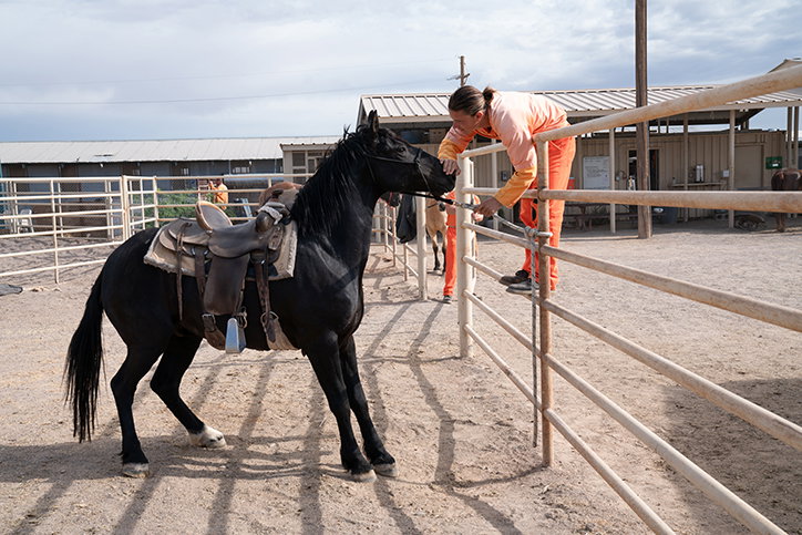 matt-hussey-tamed-work-photography-itsnicethat-07.jpg
