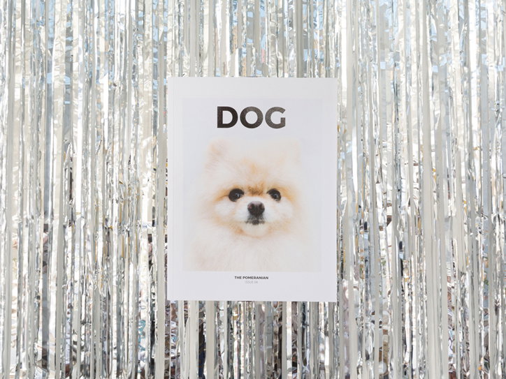 dog-magazine-events-itsnicethat-01.jpg