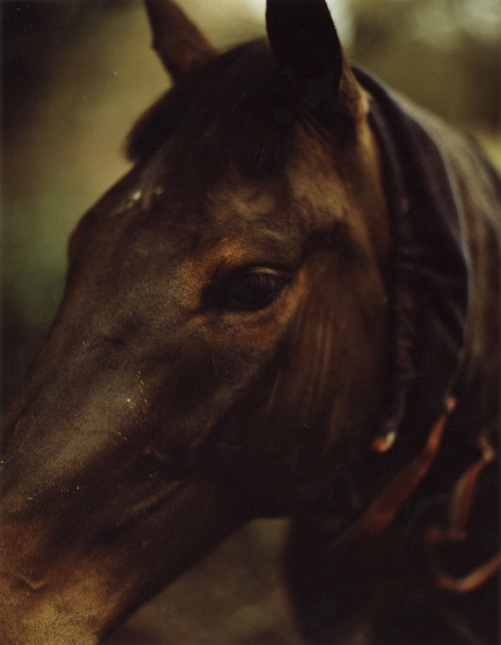 jamie-e-murray-folly-photography-itsnicethat-6.jpg