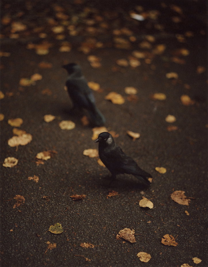 jamie-e-murray-folly-photography-itsnicethat-8.jpg