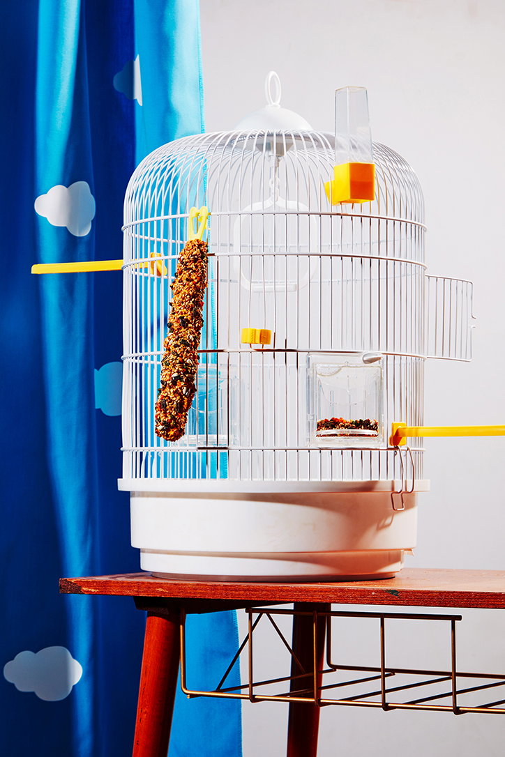 FlorentTanet-AquariumHobby-Photography-itsnicethat-02.jpg