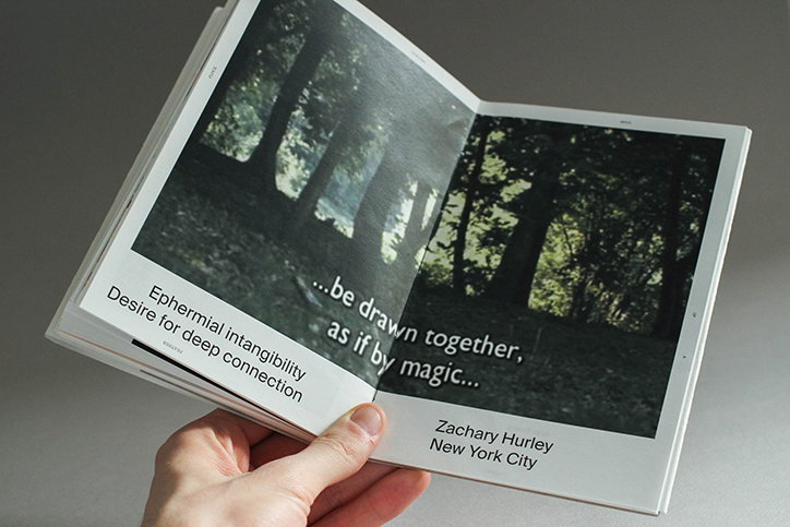 Bruce-Vansteenwinkel-birds-of-a-feather-graphic-design-itsnicethat-02.jpg