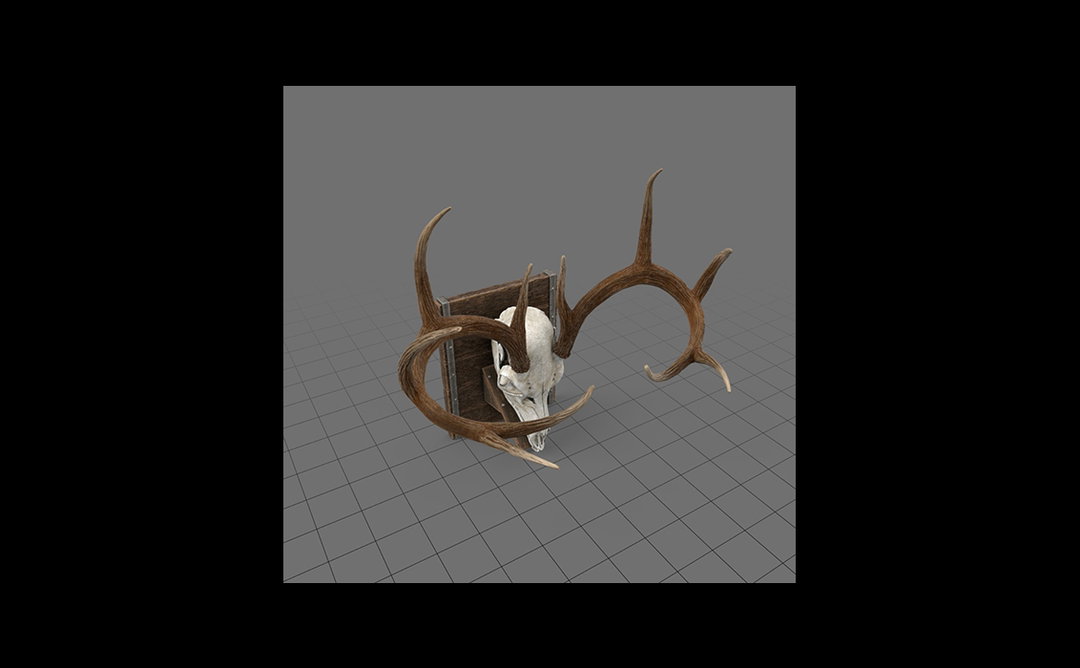 Adobe_Stock_Antlers_Slider.jpg