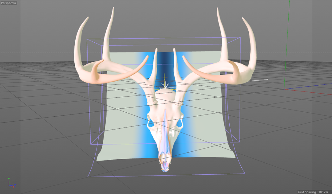 Georgia_C4D.PNG