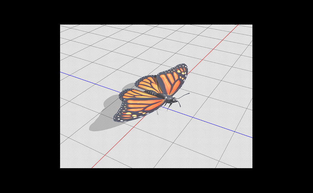 Adobe_Stock_Butterfly_Slider.jpg