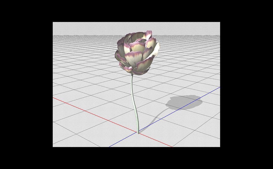 Adobe_Stock_Flower_04_Slider.jpg