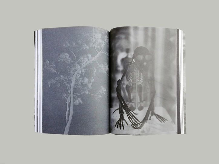 alba-zari-the-y-photography-publication-itsnicethat-02.jpg
