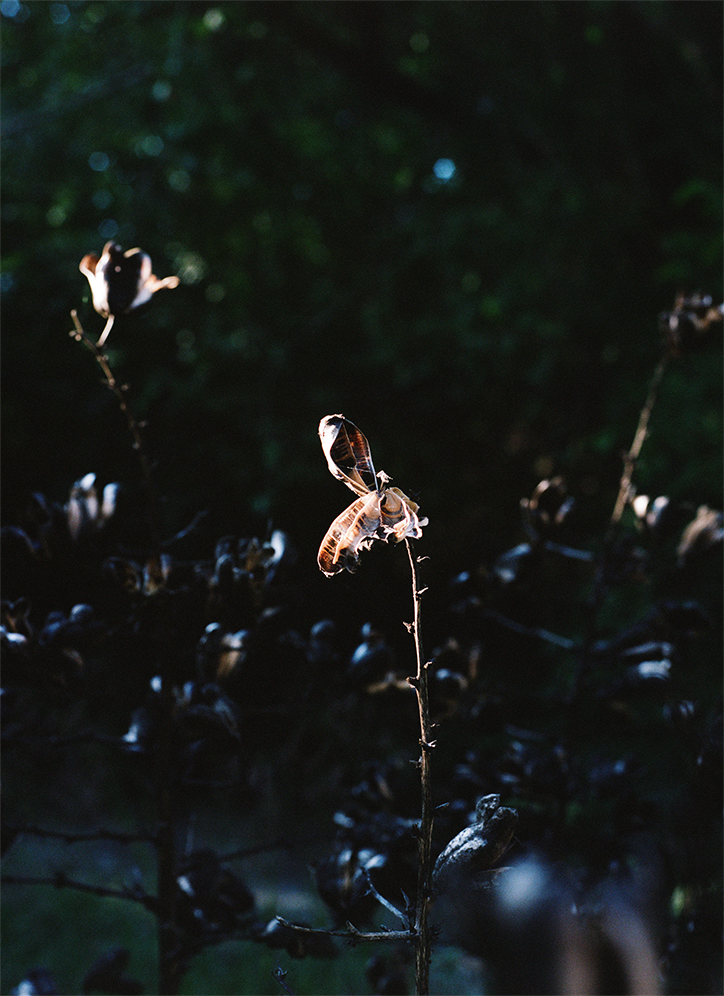 louisa-stickelbruck-seven-bends-in-the-river-photography-itsnicethat-03.png
