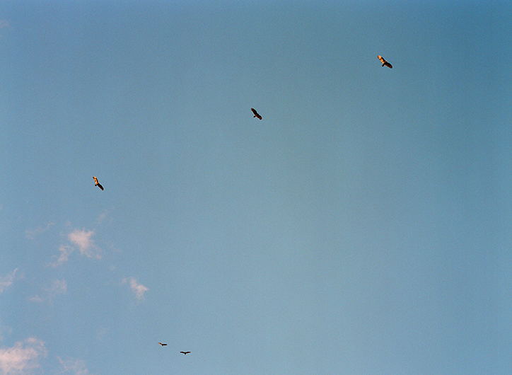 louisa-stickelbruck-seven-bends-in-the-river-photography-itsnicethat-06.png