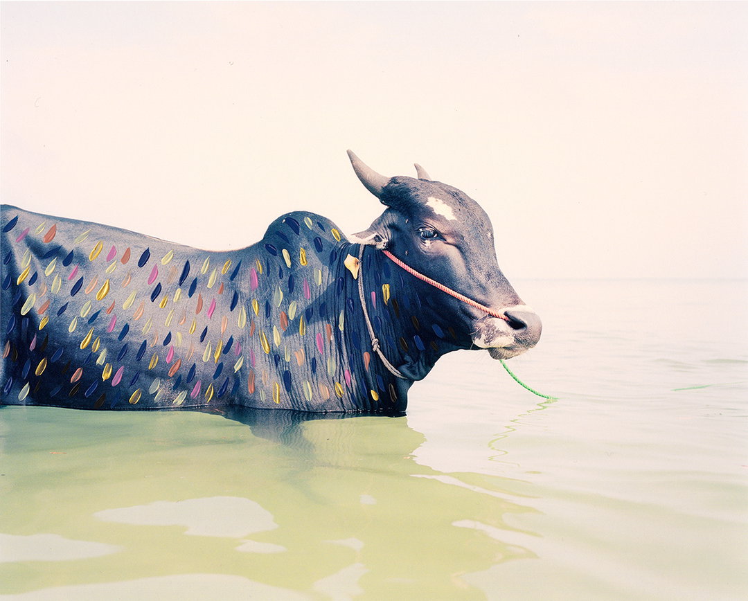 Vasantha-Yogananthan-a-myth-of-two-souls-photography-itsnicethat-16.jpg