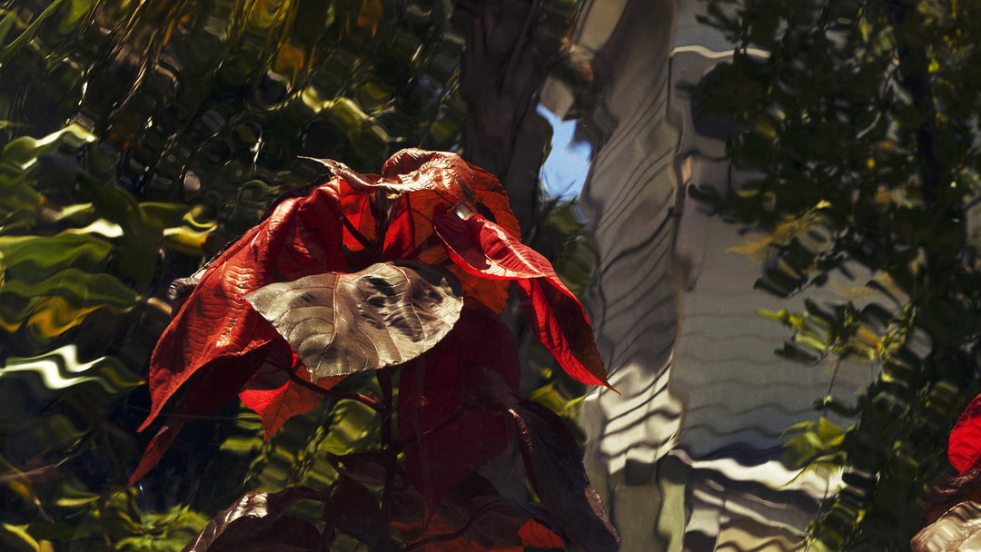 hugo-yu-photography-the-graduates-2019-itsnicethat-05.jpg