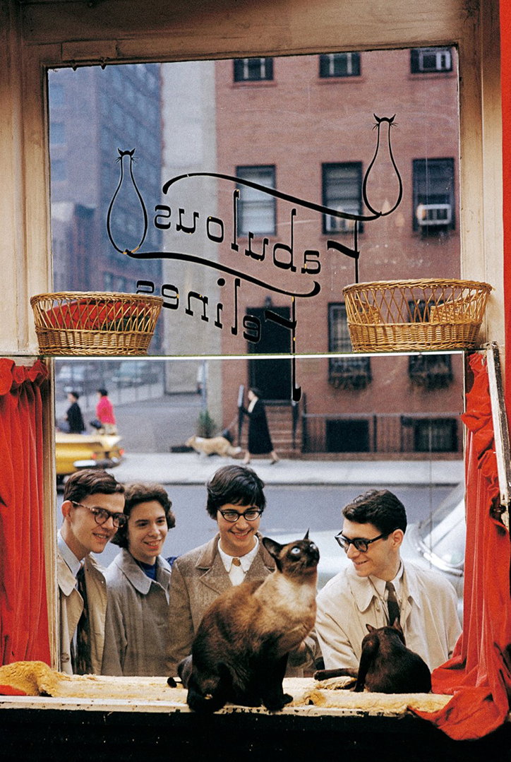 walter-chandoha-taschen-publication-itsnicethat-6.jpg