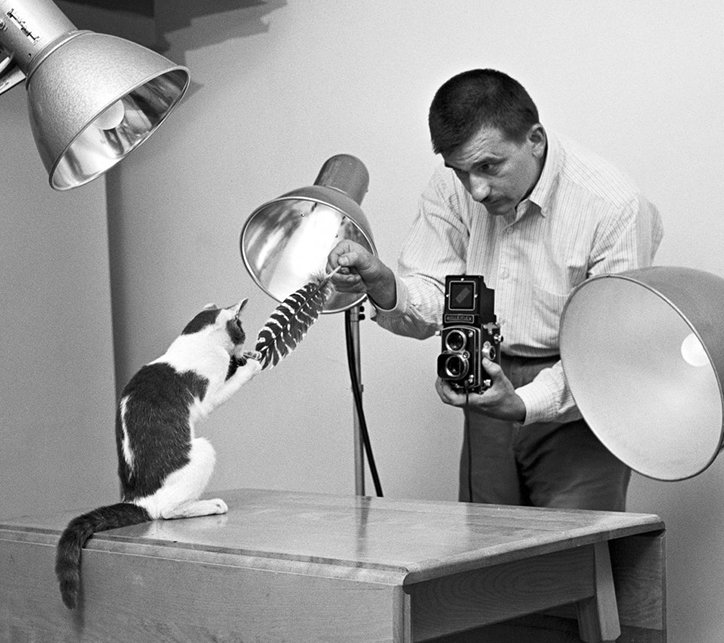 walter-chandoha-taschen-publication-itsnicethat-9.jpg