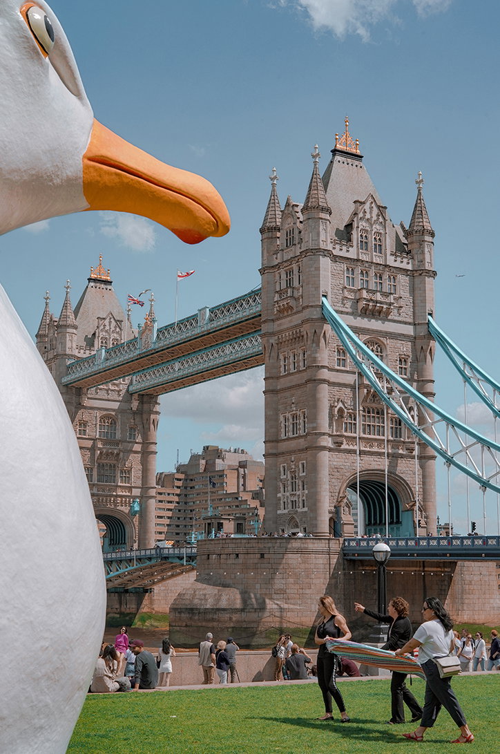 josh-edgoose-the-birds-photography-itsnicethat-10.jpg