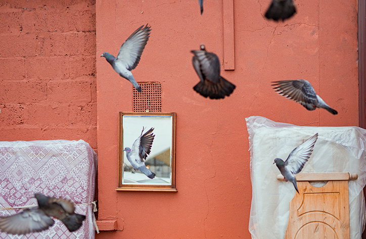 josh-edgoose-the-birds-photography-itsnicethat-02.jpg