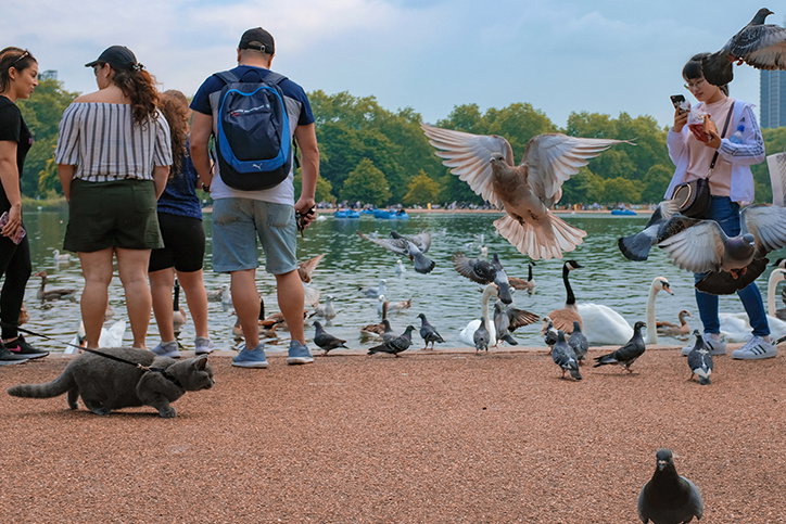 josh-edgoose-the-birds-photography-itsnicethat-03.jpg