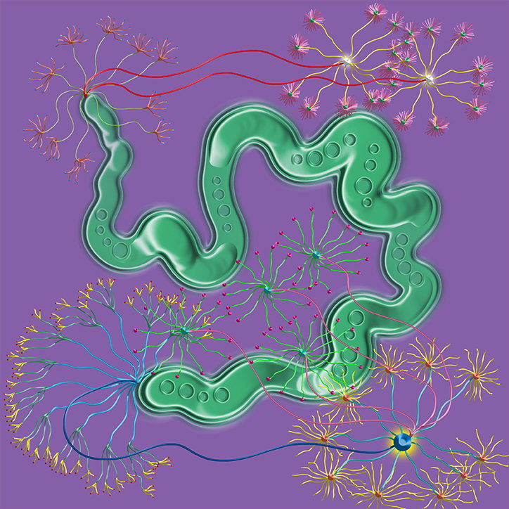 theophile-bartz-illustration-itsnicethat-14.jpg