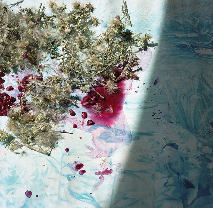 Ioanna-Sakellaraki-the-truth-is-in-the-soil-work-photography-itsnicethat-11.jpg