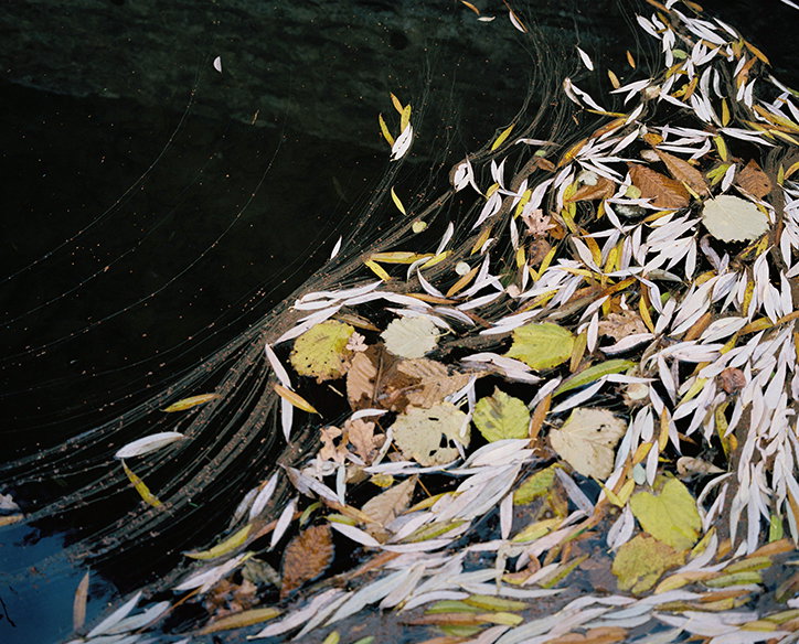 francesca-mccoll-wild-women-photography-itsnicethat-01.jpg