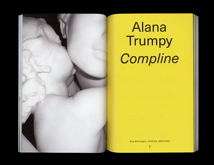 american-chordata-redesign-no-ideas-work-publication-itsnicethat-04.jpg