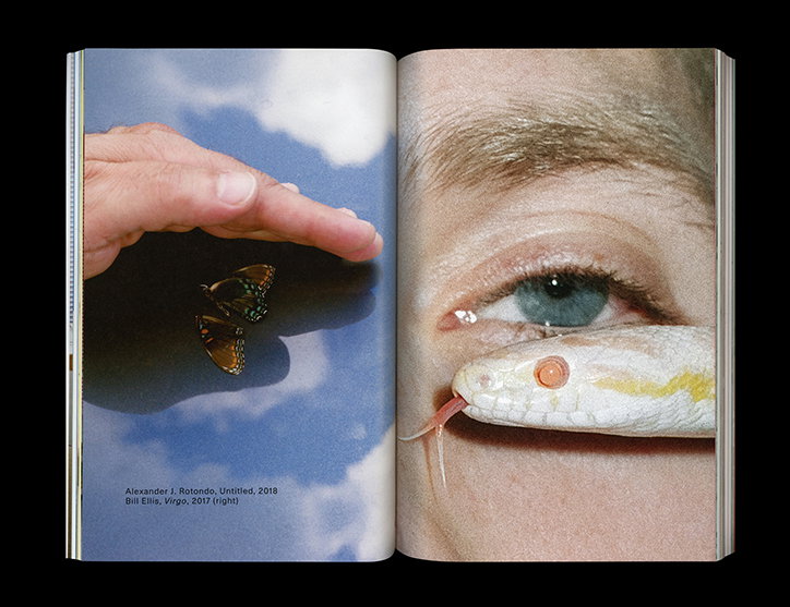 american-chordata-redesign-no-ideas-work-publication-itsnicethat-05.jpg
