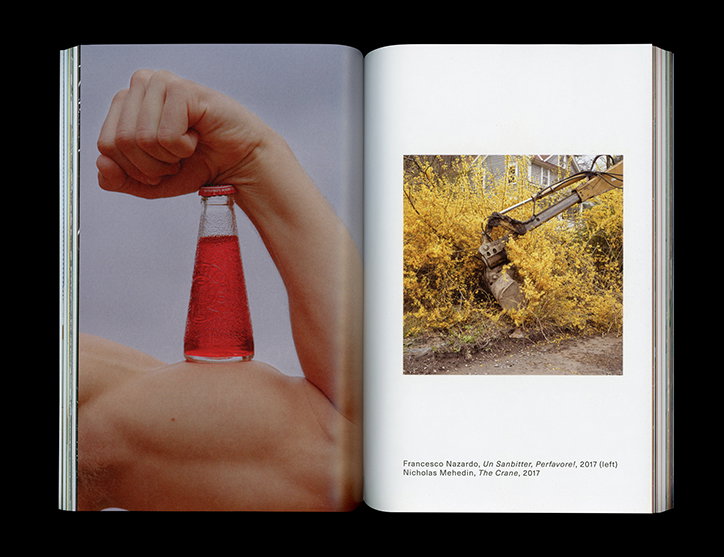 american-chordata-redesign-no-ideas-work-publication-itsnicethat-08.jpg