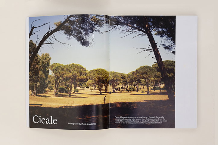 leonardo-pelligrino-elisa-carassi-sali-e-tabacchi-publication-graphic-design-itsnicethat-1.jpg