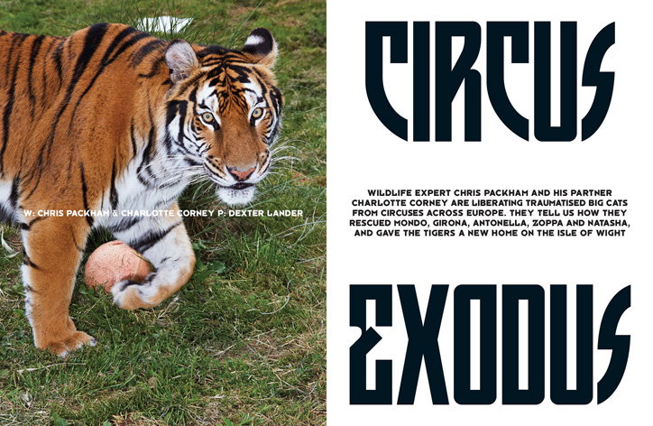 the_face_magazine_redesign_Mirko_Borsche_Alex_O'Brien_publication_itsnicethat2.jpg