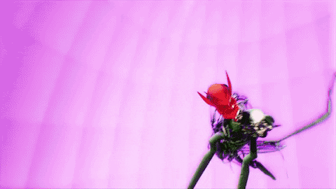 Flying-Matthew-Dear-GIF-by-rolfes-downsized_large-(5).gif