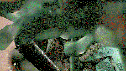 Flying-Matthew-Dear-GIF-by-rolfes-downsized_large-(3).gif