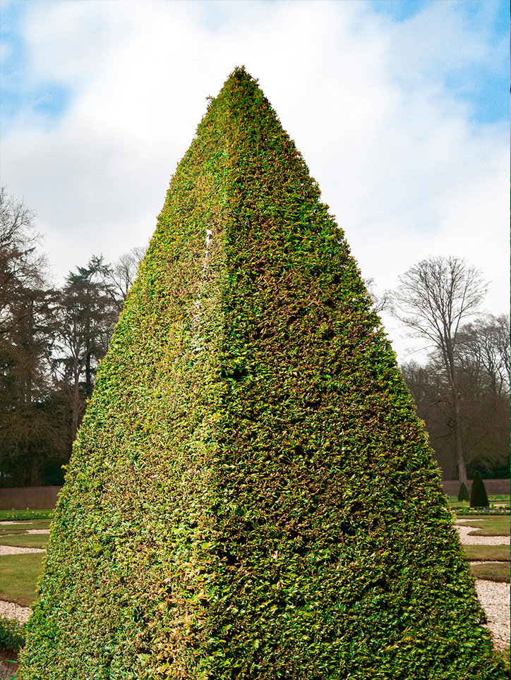wessel-baarda-photography-itsnicethat-04.jpg