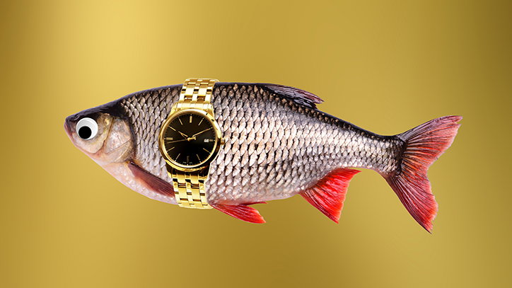 ryan-haskins-sushi-snob-work-graphicdesign-itsnicethat-04.jpg