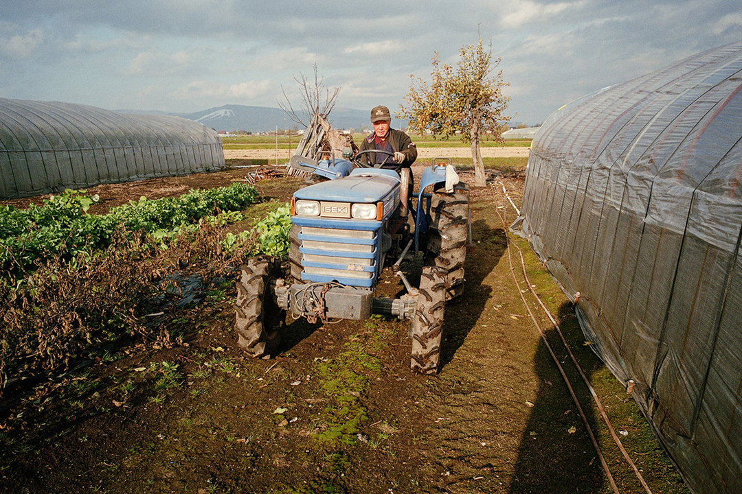 kentaro-takahashi-tomatoes-a-bird-takeko-and-koichi-features-photography-itsnicethat-01.jpg