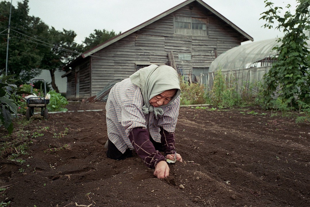 kentaro-takahashi-tomatoes-a-bird-takeko-and-koichi-features-photography-itsnicethat-04.jpg