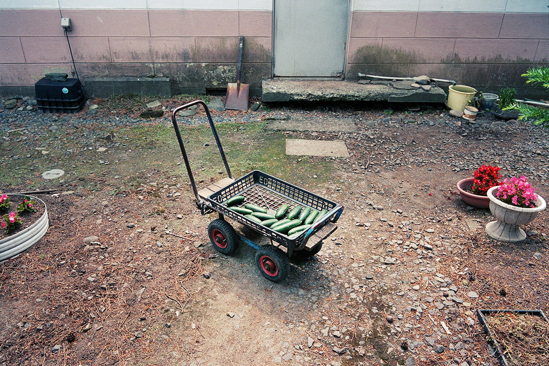 kentaro-takahashi-tomatoes-a-bird-takeko-and-koichi-features-photography-itsnicethat-12.jpg