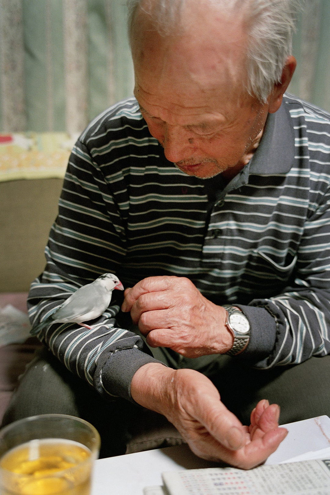 kentaro-takahashi-tomatoes-a-bird-takeko-and-koichi-features-photography-itsnicethat-16.jpg