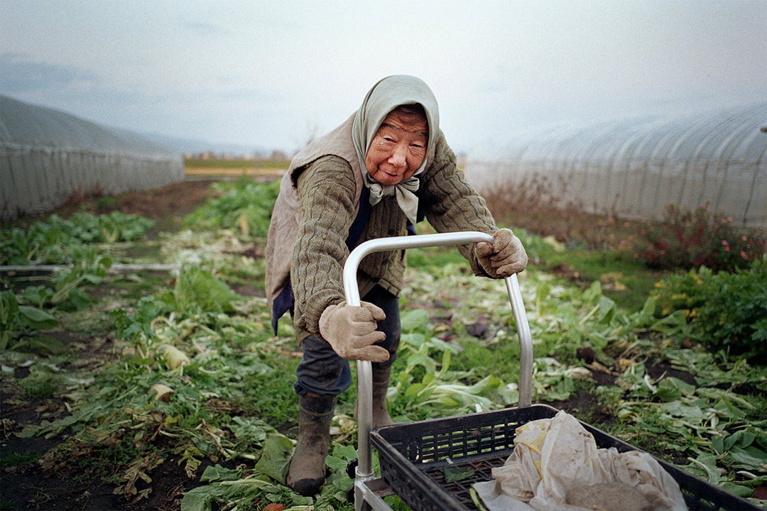 kentaro-takahashi-tomatoes-a-bird-takeko-and-koichi-features-photography-itsnicethat-21.jpg