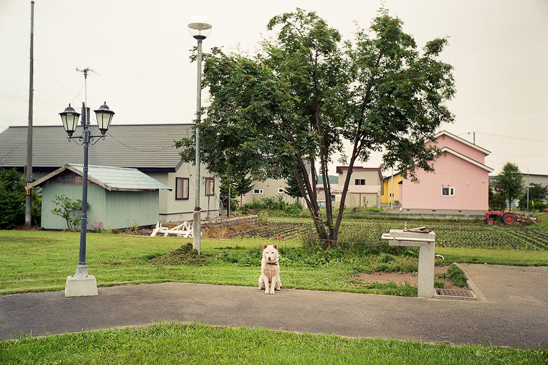 kentaro-takahashi-tomatoes-a-bird-takeko-and-koichi-features-photography-itsnicethat-24.jpg