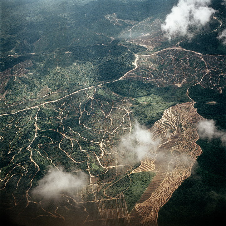 letter-to-bruno-manser-work-photography-publication-itsnicethat-09.jpg