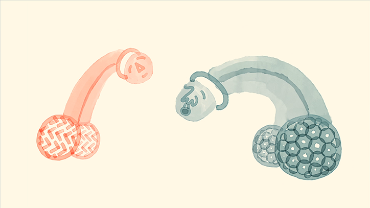 AnnaGinsburg-PrivateParts-Animation-itsnicethat-0.png