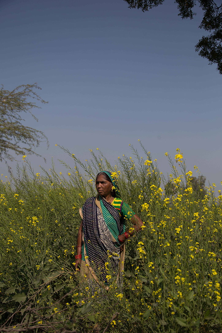 gayatri-ganju-the-green-gang-work-photography-itsnicethat-09.jpg