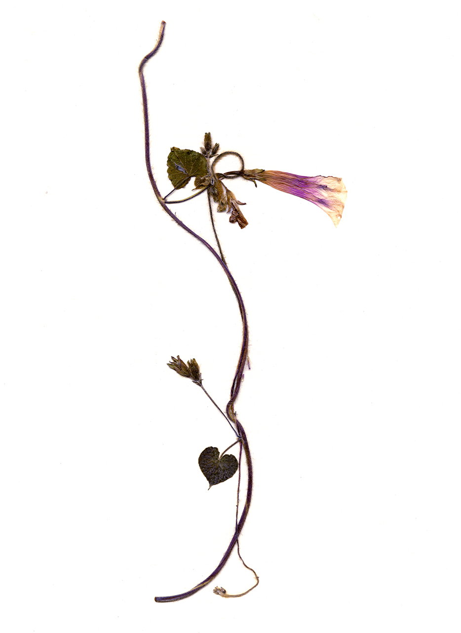 stacy-kranitz-as-it-was-give(n)-to-me-photography-itsnicethat-14.jpg