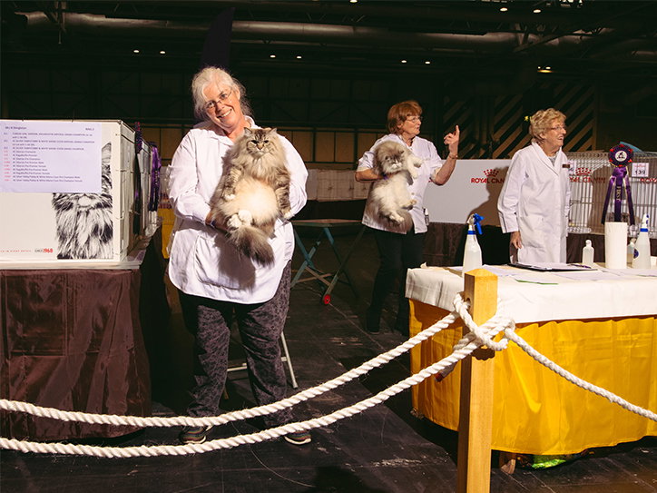 jack-kenyon-cat-worship-photography-itsnicethat-14.jpg