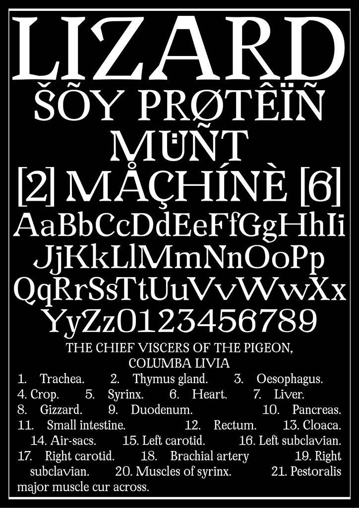 sebastian-wyss-graphic-design-digital-itsnicethat-10.jpg