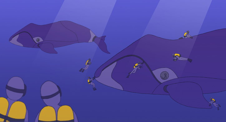 Louis-Morton-Floreana-Animation-Itsnicethat-7.jpg