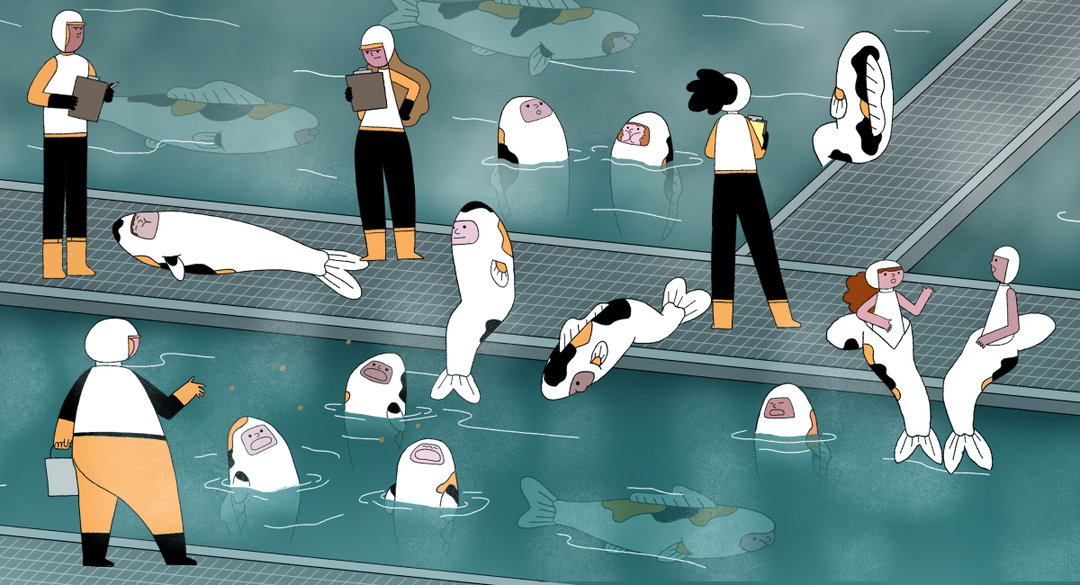 Louis-Morton-Floreana-Animation-Itsnicethat-10.jpg