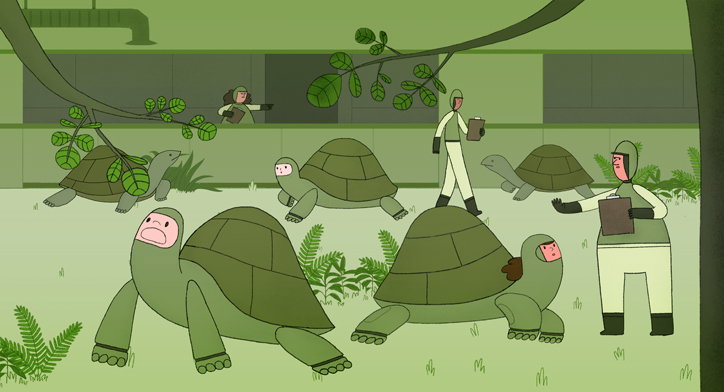 Louis-Morton-Floreana-Animation-Itsnicethat-9.jpg