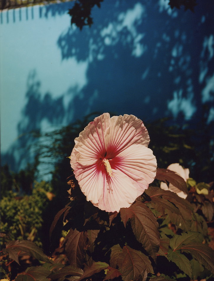 lee-whitakker-photography-itsnicethat-10.jpg