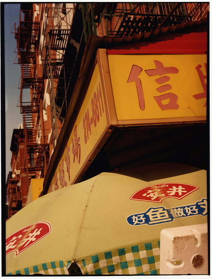 lee-whitakker-photography-itsnicethat-14.jpg